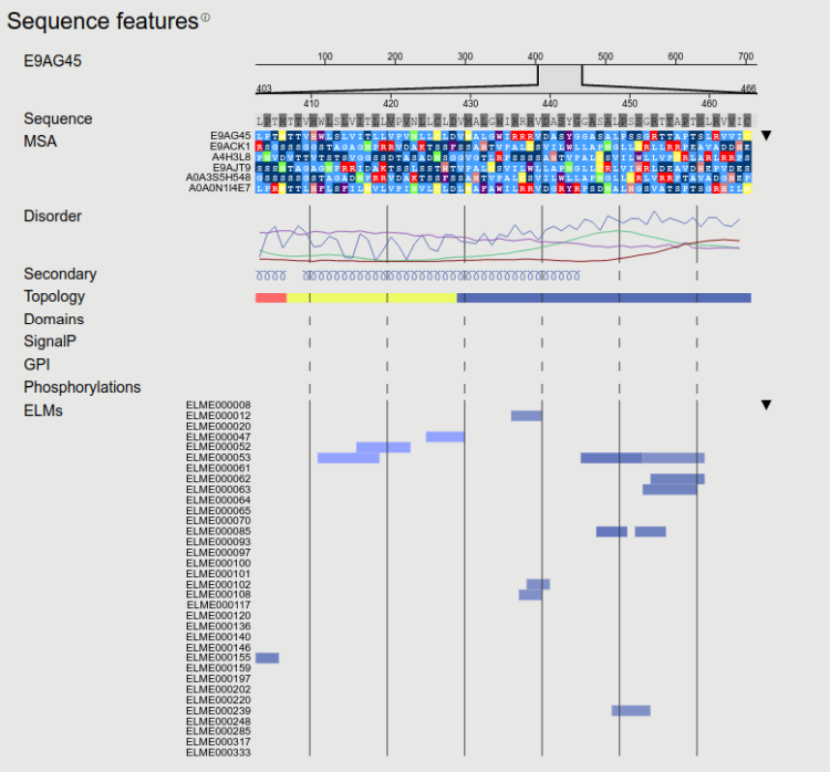 Sequence features